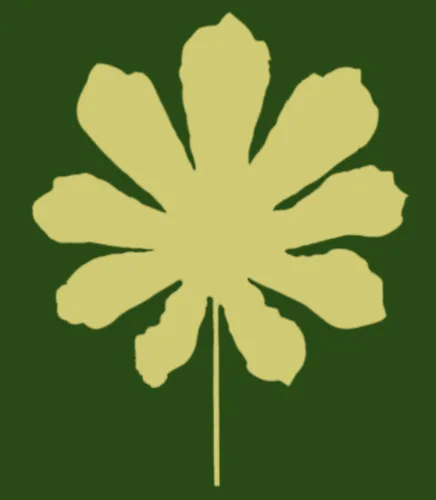 Logo de Embauba Design Ltda